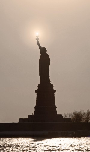  Liberty flarecrop